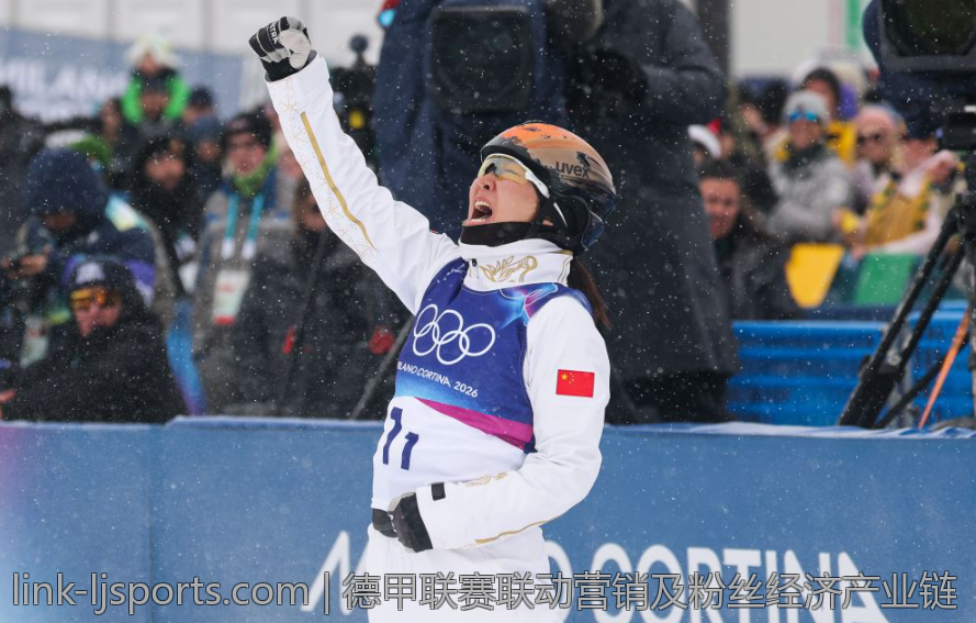 德甲联赛联动营销及粉丝经济产业链